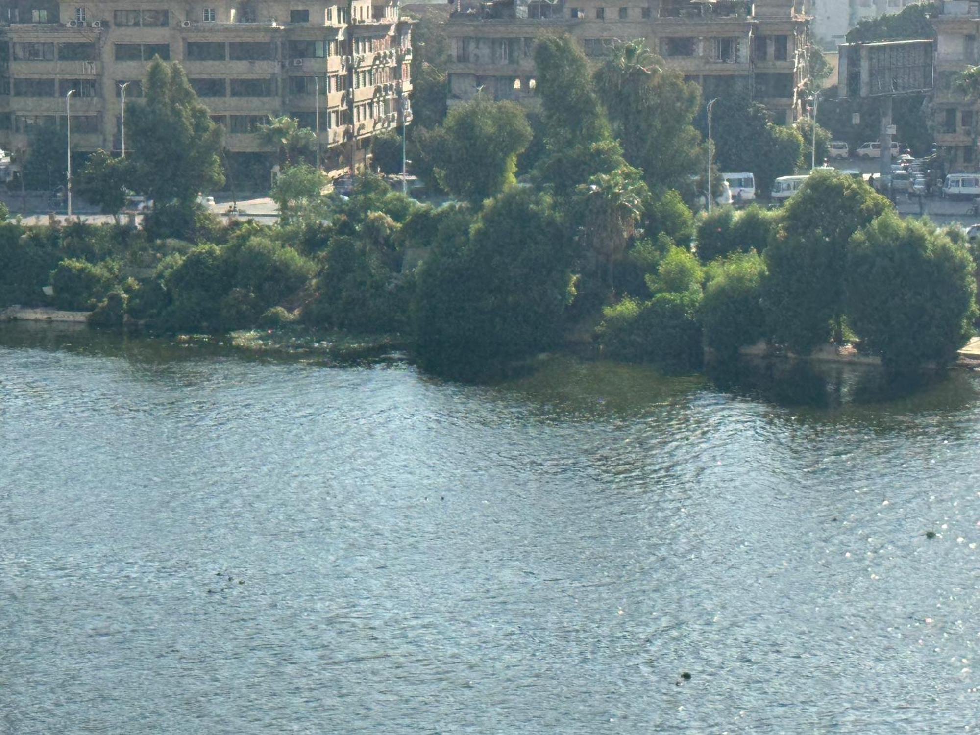 Nile View In Zamalek * Cairo